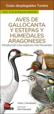 AVES DE GALLOCANTA Y ESTEPAS Y HUMEDALES ARAGONESES *