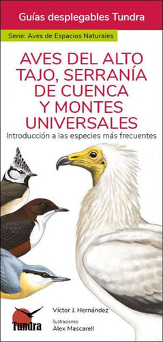 AVES DEL ALTO TAJO, SERRANIA DE CUENCA Y MONTES UNIVERSALES *