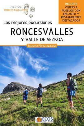 RONCESVALLES Y VALLE DE AEZKOA. LAS MEJORES EXCURSIONES *