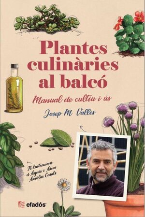 PLANTES CULINÀRIES AL BALCÓ *