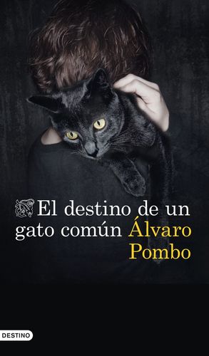 EL DESTINO DE UN GATO COMÚN *