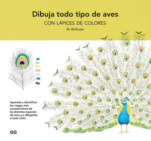 DIBUJA TODO TIPO DE AVES CON LÁPICES DE COLORES *