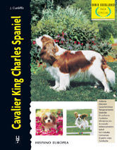 CAVALIER KING CHARLES SPANIEL *