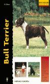 BULL TERRIER *