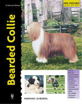 BEARDED COLLIE *