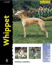 WHIPPET *