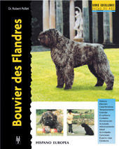 BOUVIER DES FLANDRES *