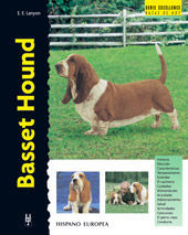 BASSET HOUND *