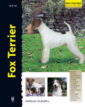 FOX TERRIER *