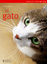 EL GATO *