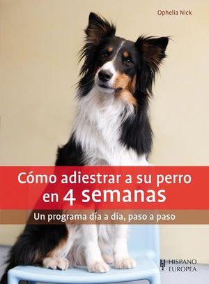 CÓMO ADIESTRAR A SU PERRO EN 4 SEMANAS *