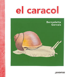 EL CARACOL *
