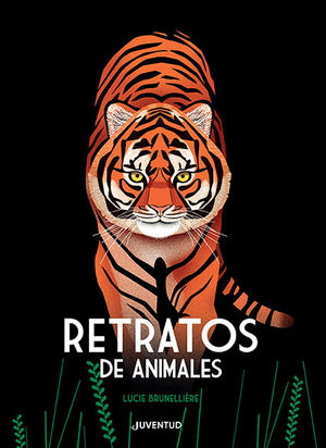 RETRATOS DE ANIMALES *
