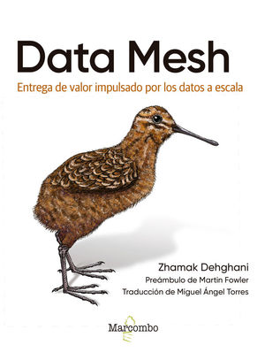 DATA MESH  *