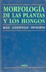 MORFOLOGIA DE LAS PLANTAS Y HONGOS *