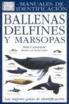 BALLENAS DELFINES Y MARSOPAS *