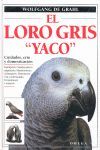 EL LORO GRIS 'YACO' *