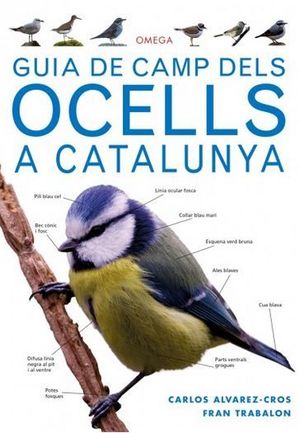 GUIA DE CAMP DELS OCELLS A CATALUNYA *