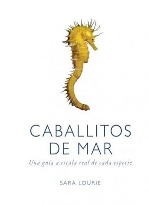 CABALLITOS DE MAR *