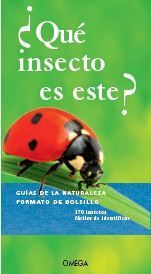 ¿QUE INSECTO ES ESTE? *