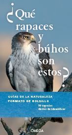 ¿QUE RAPACES Y BUHOS SON ESTOS? *