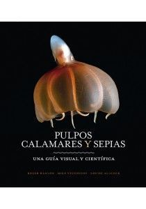 PULPOS, CALAMARES Y SEPIAS *