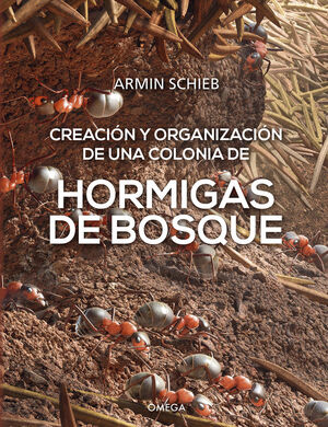 HORMIGAS DE BOSQUE *