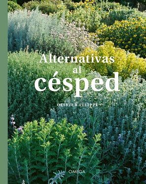 ALTERNATIVAS AL CESPED *