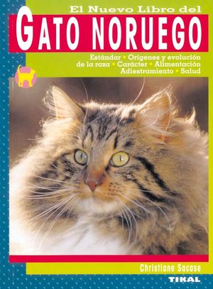 GATO NORUEGO