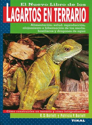 LAGARTOS EN TERRARIO *