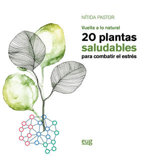 20 PLANTAS SALUDABLES PARA COMBATIR EL ESTRÉS *