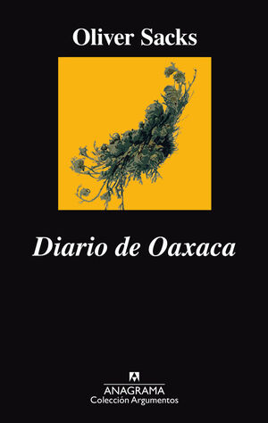 DIARIO DE OAXACA *