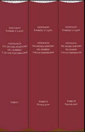 HISTOLOGÍA DEL SISTEMA NERVIOSO DEL HOMBRE Y DE LOS VERTEBRADOS *