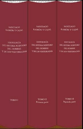 HISTOLOGÍA DEL SISTEMA NERVIOSO DEL HOMBRE Y DE LOS VERTEBRADOS *