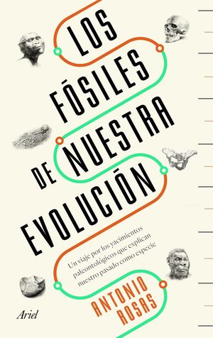 LOS FÓSILES DE NUESTRA EVOLUCIÓN *