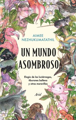 UN MUNDO ASOMBROSO *