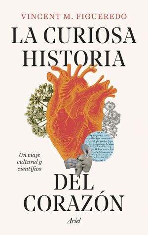 LA CURIOSA HISTORIA DEL CORAZÓN *