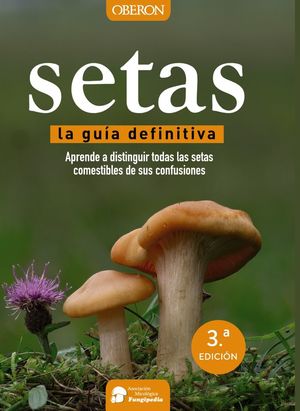 SETAS. LA GUÍA DEFINITIVA *