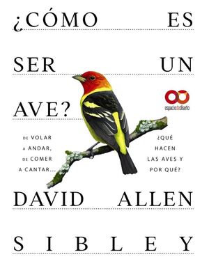 ¿CÓMO ES SER UN AVE?