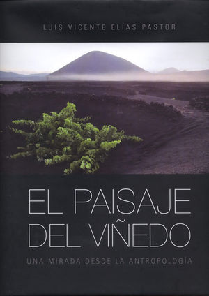 EL PAISAJE DEL VIÑEDO *