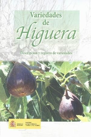 VARIEDADES DE HIGUERA *