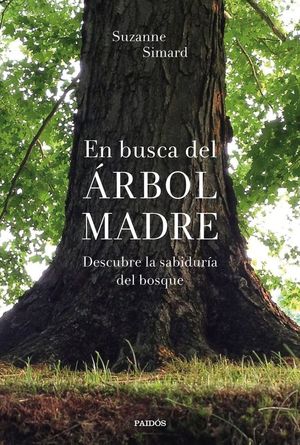 EN BUSCA DEL ÁRBOL MADRE *