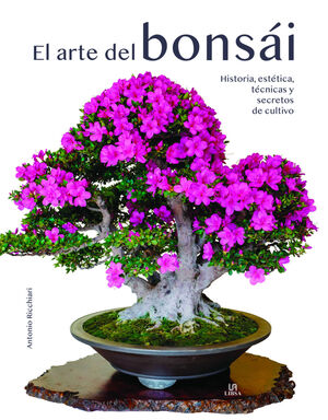 EL ARTE DEL BONSÁI *