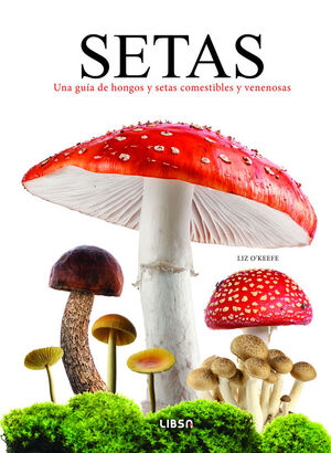 SETAS *