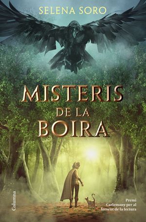 MISTERIS DE LA BOIRA *