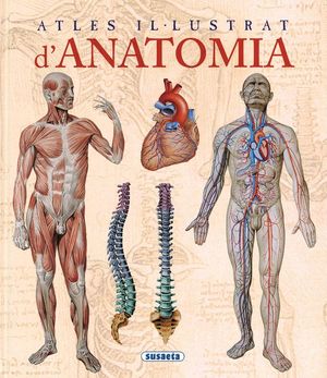 ATLES IL-LUSTRAT D'ANATOMIA *