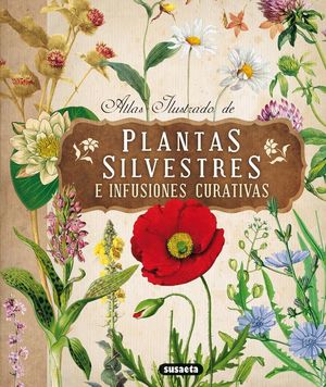 ATLAS ILUSTRADO DE PLANTAS SILVESTRES E INFUSIONES CURATIVAS