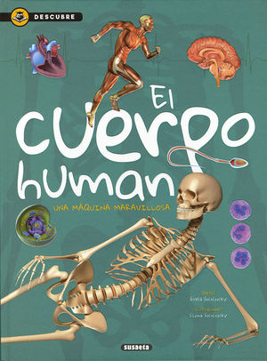 EL CUERPO HUMANO *