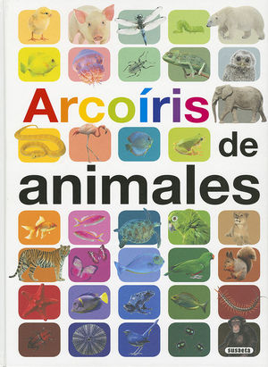 ARCOIRIS DE ANIMALES *