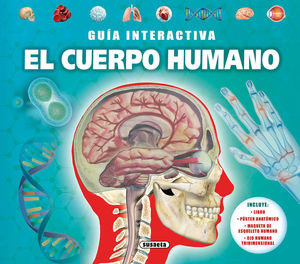 EL CUERPO HUMANO *